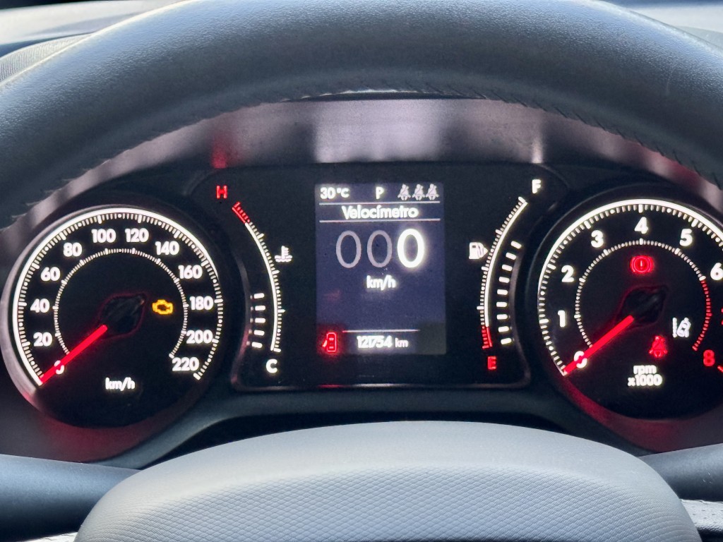 Fiat PULSE 19